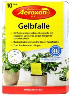 Aeroxon Gelbfalle - 10 Stück