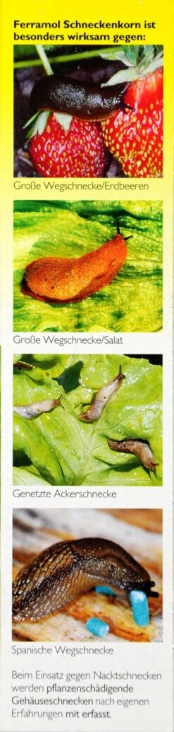 Neudorff Ferramol Schneckenkorn - 500 G -Gartenbedarf Geschaft Neudorff20Ferramol20Schneckenkorn 32718 R01