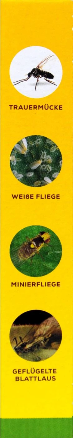 Solabiol Gelbsticker - 10 Stück 3 Solabiol Gelbsticker - 10 Stück – Bild 3