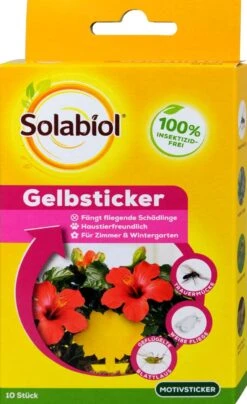Solabiol Gelbsticker - 10 Stück