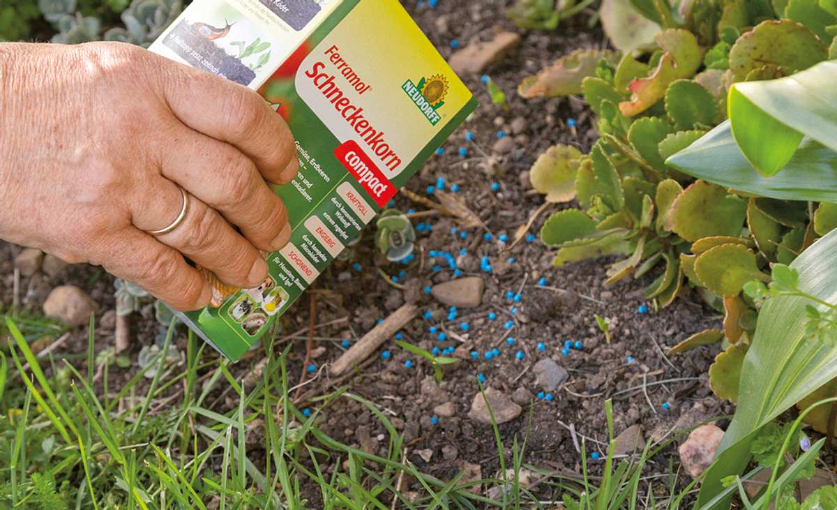 Gartenbedarf Geschaft -Gartenbedarf Geschaft ferramol schneckenkornjpgiddb44353cbselbstw1200rmsk