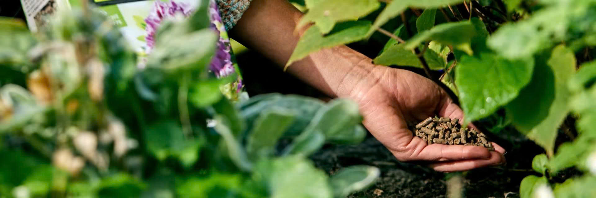 Gartenbedarf Geschaft -Gartenbedarf Geschaft z6926281794834 1d92ea4d56b708eff7a1753edd746d7d